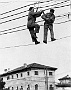 Anni 50 Operai della soc Adriatica al lavoro (foto C Toma) (Corinto Baliello)